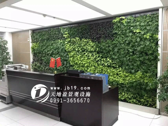 垂直绿化墙